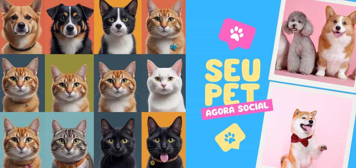 RG Pet Social: A Rede Social Feita por Tutores, Para Tutores