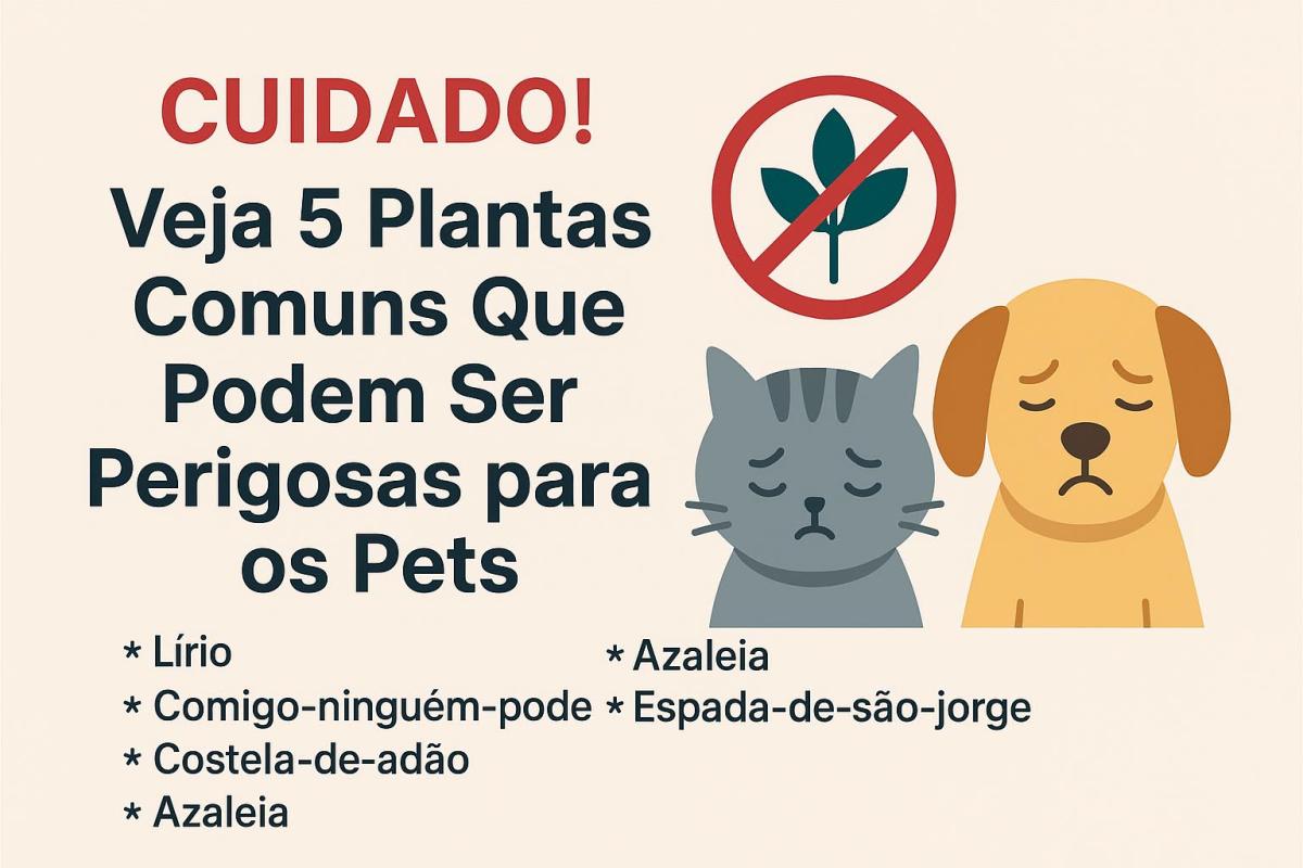 Cuidado! Veja 5 Plantas Comuns Que Podem Ser Perigosas Para os Pets