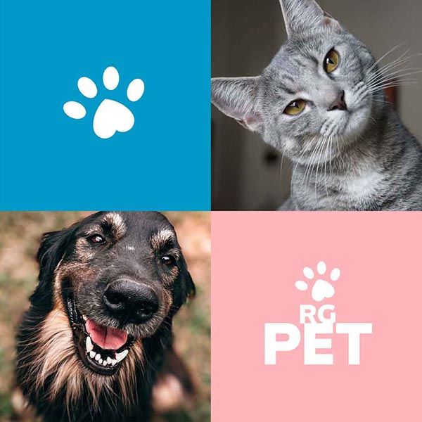 Pet
