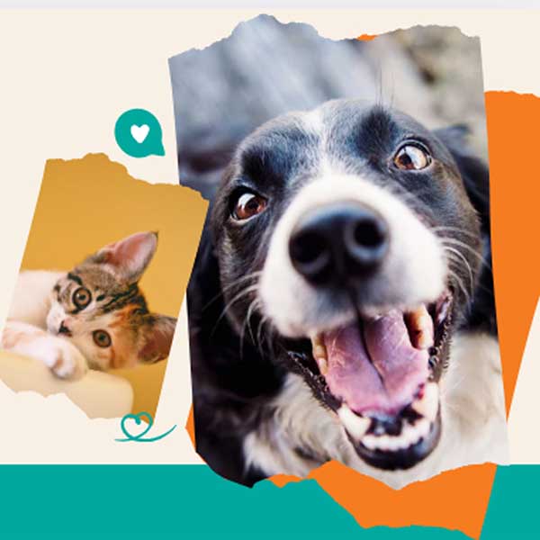 vacinas para animais