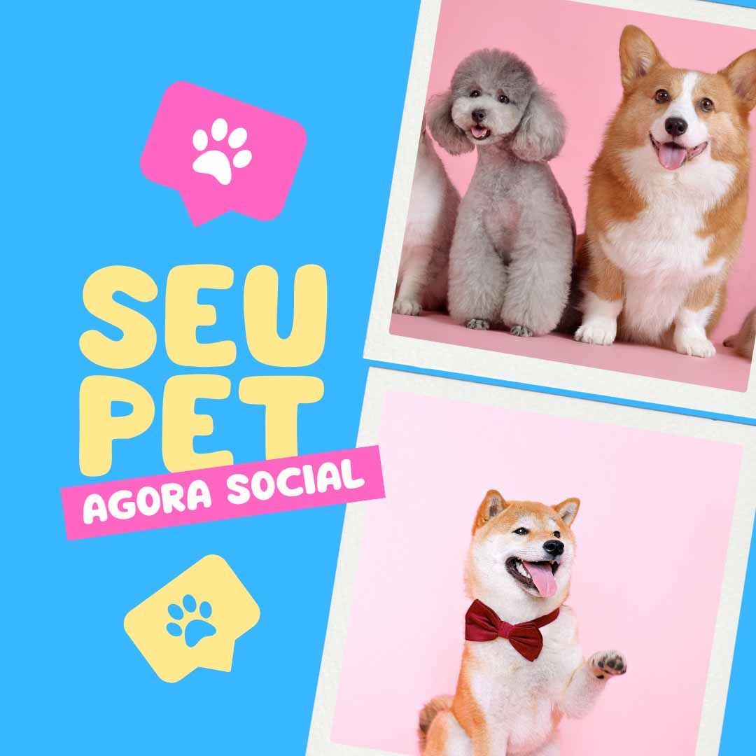 rede social para pets